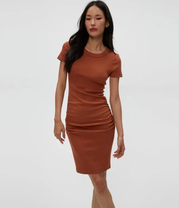 Michael Stars Petite Katie Dress- Dresses | Mini Dresses